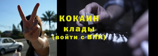 ГАЛЛЮЦИНОГЕННЫЕ ГРИБЫ Богданович