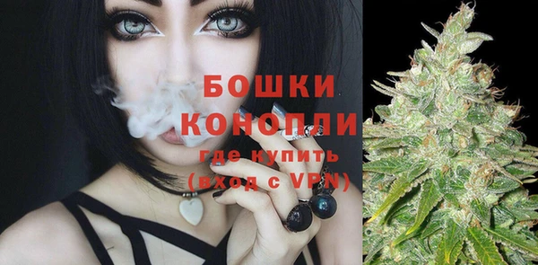 дурь Верея