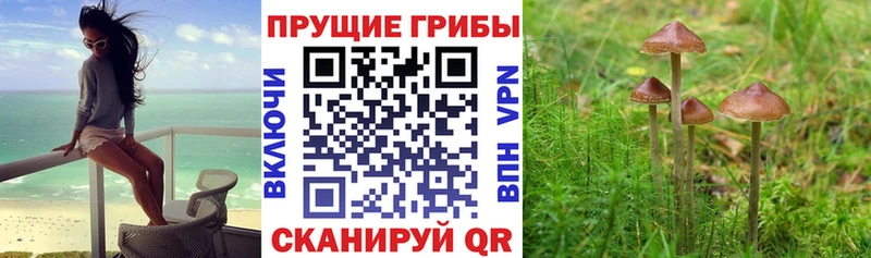 blacksprut   Инта  Галлюциногенные грибы MAGIC MUSHROOMS  наркота 